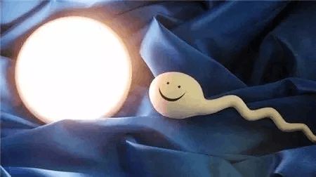 中医妇科